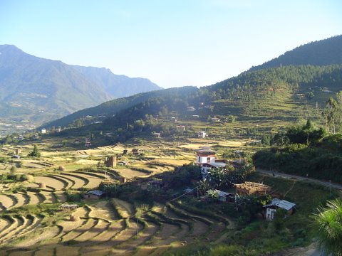 Small Homesteads Near Punakha